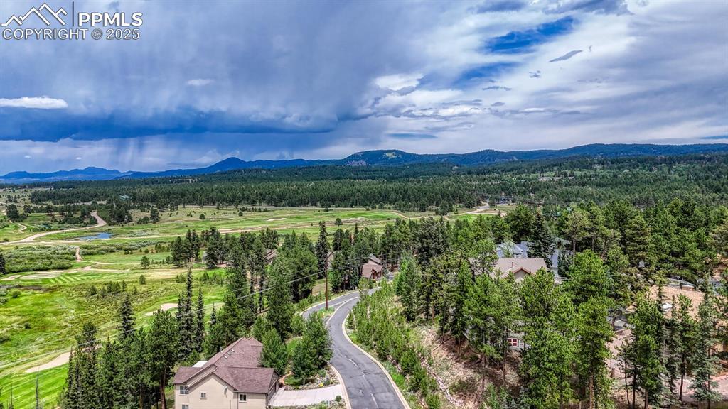 215 Iron Eagle Point Woodland Park CO 80863