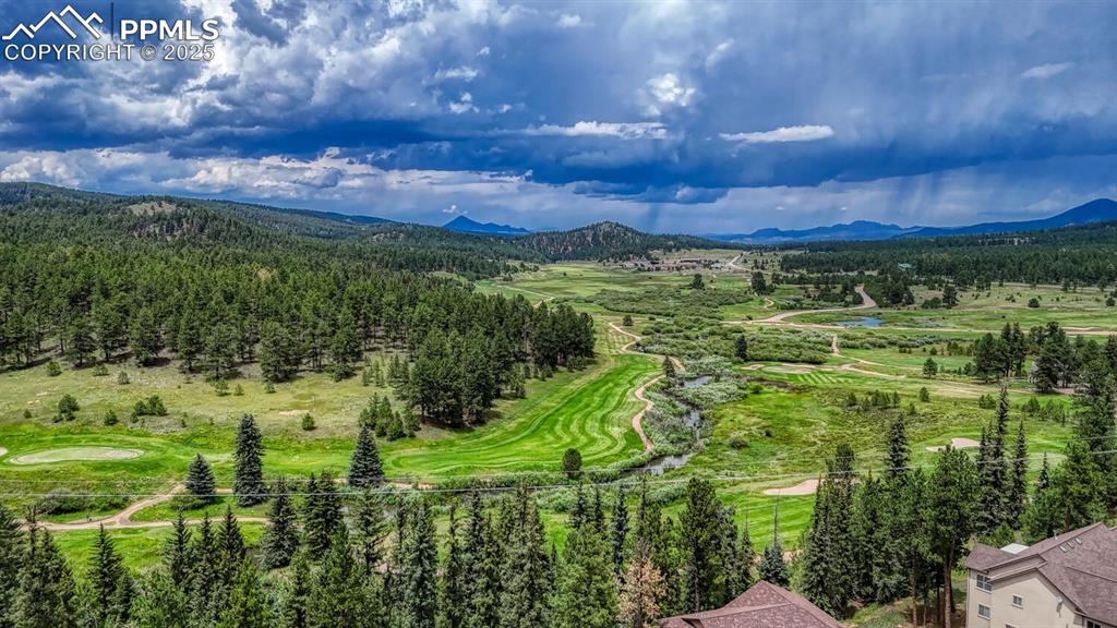 215 Iron Eagle Point Woodland Park CO 80863