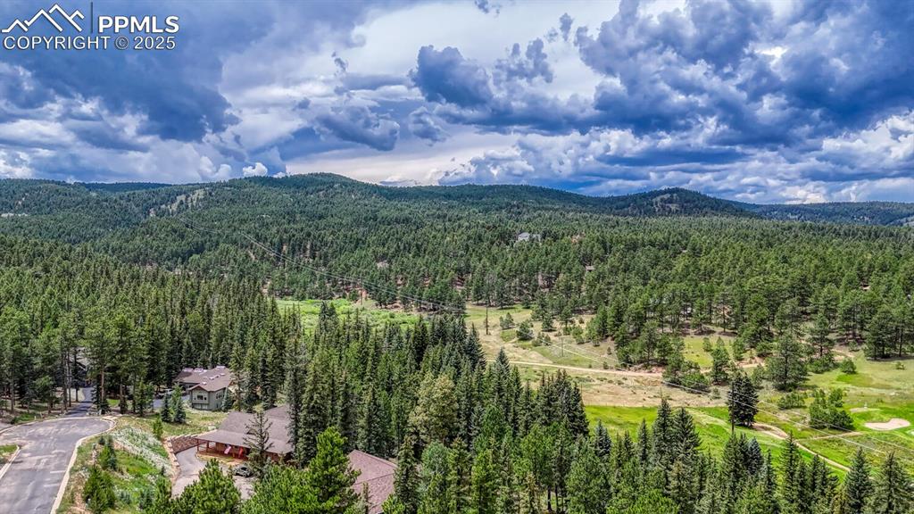 215 Iron Eagle Point Woodland Park CO 80863