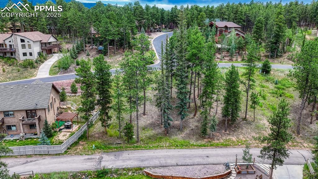 215 Iron Eagle Point Woodland Park CO 80863