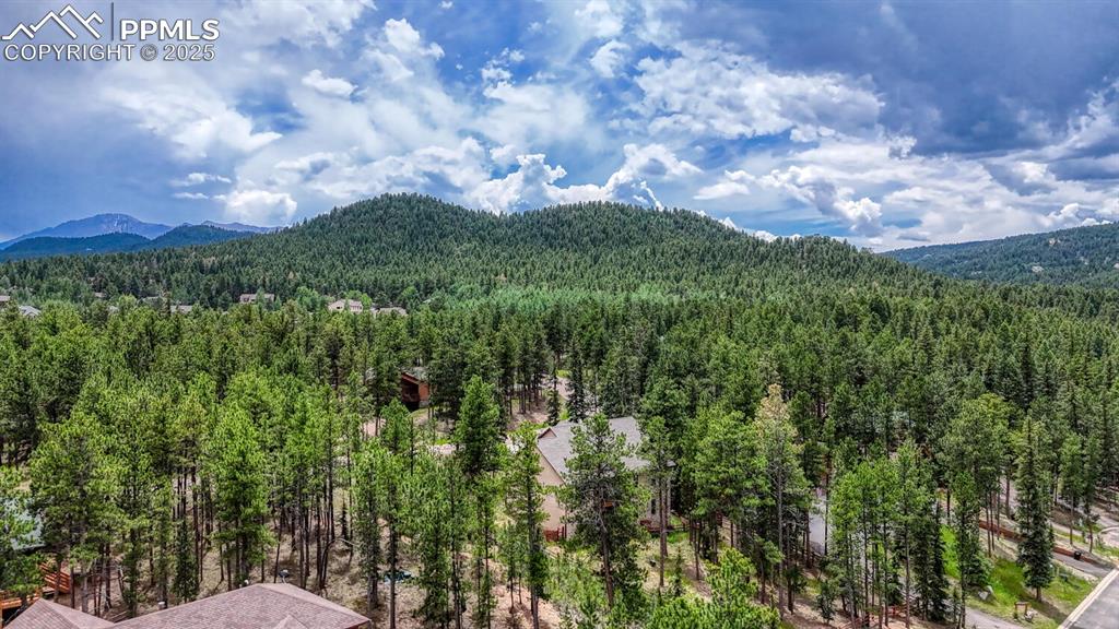 215 Iron Eagle Point Woodland Park CO 80863