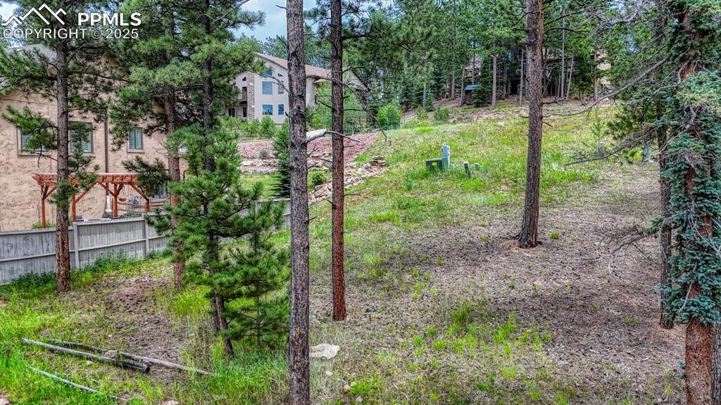 215 Iron Eagle Point Woodland Park CO 80863