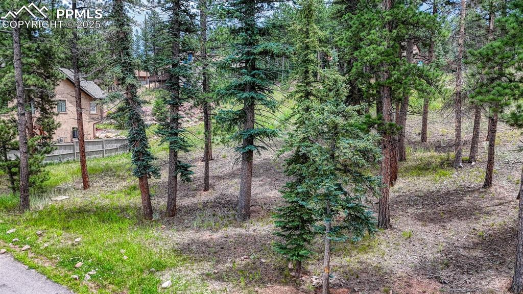 215 Iron Eagle Point Woodland Park CO 80863