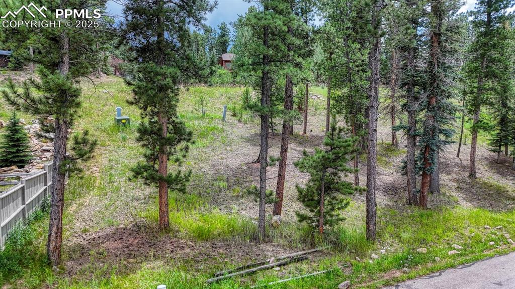215 Iron Eagle Point Woodland Park CO 80863