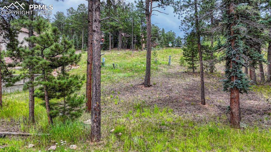 215 Iron Eagle Point Woodland Park CO 80863
