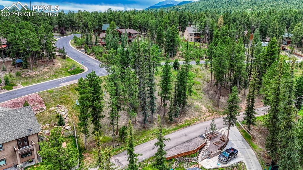 215 Iron Eagle Point Woodland Park CO 80863