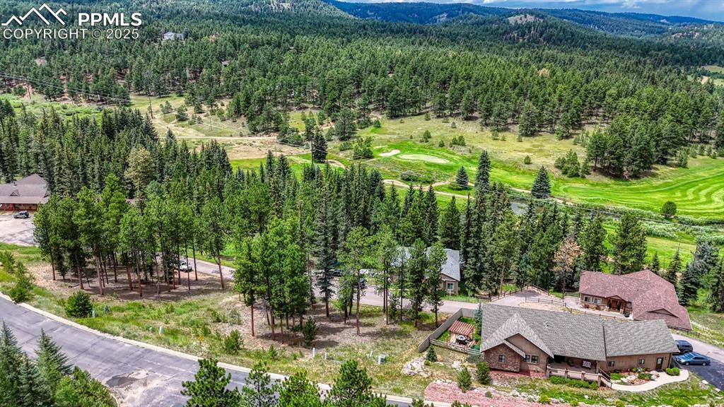 215 Iron Eagle Point Woodland Park CO 80863