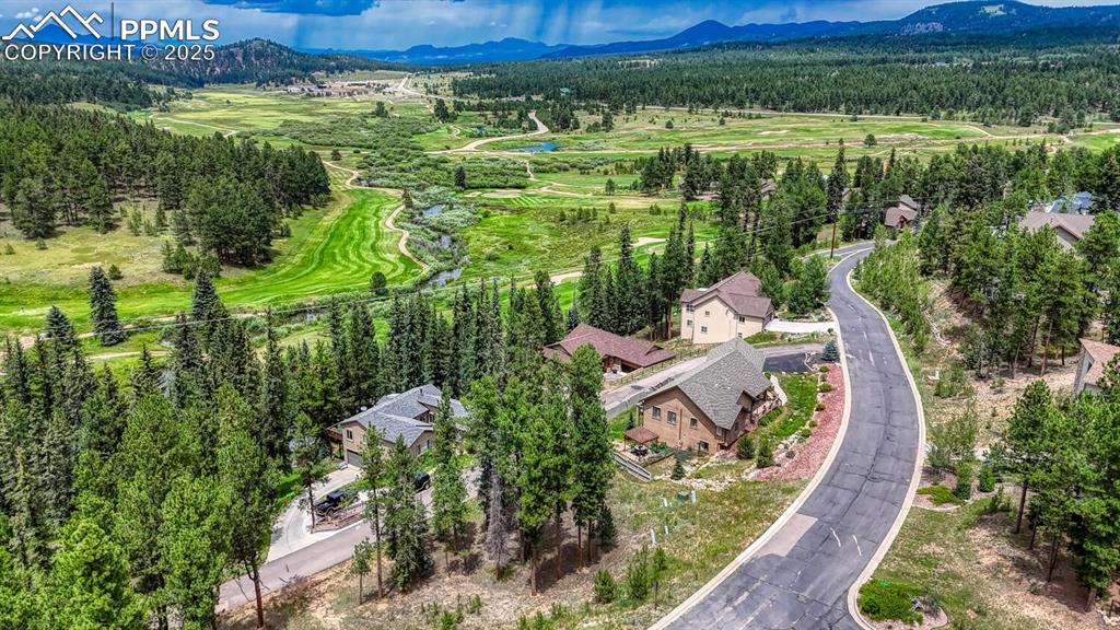 215 Iron Eagle Point Woodland Park CO 80863
