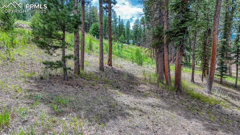 215 Iron Eagle Point Woodland Park CO 80863