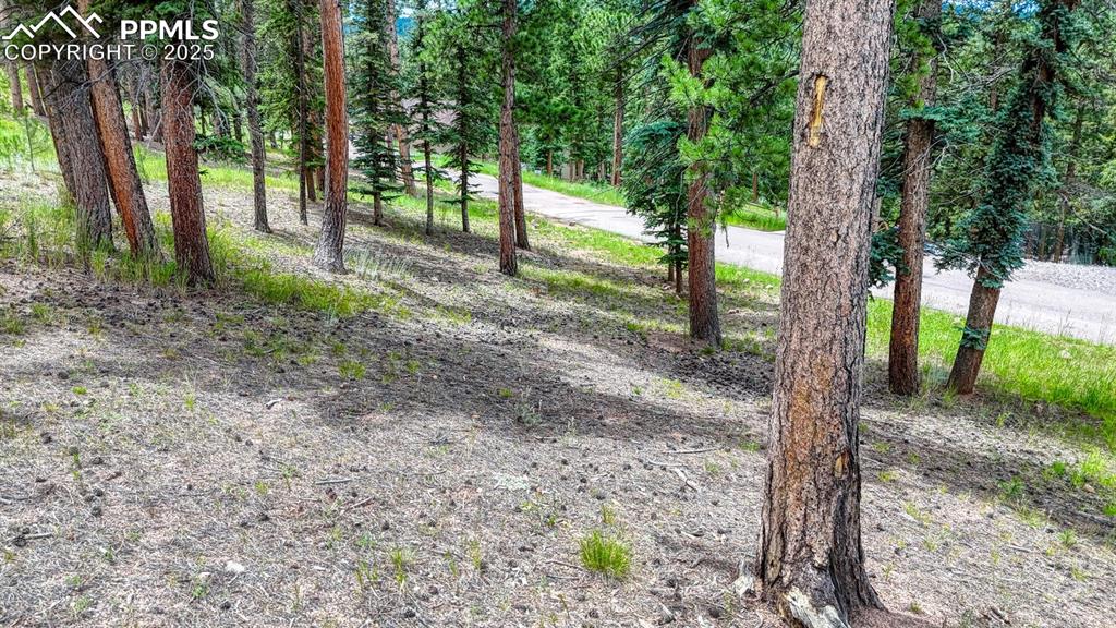 215 Iron Eagle Point Woodland Park CO 80863