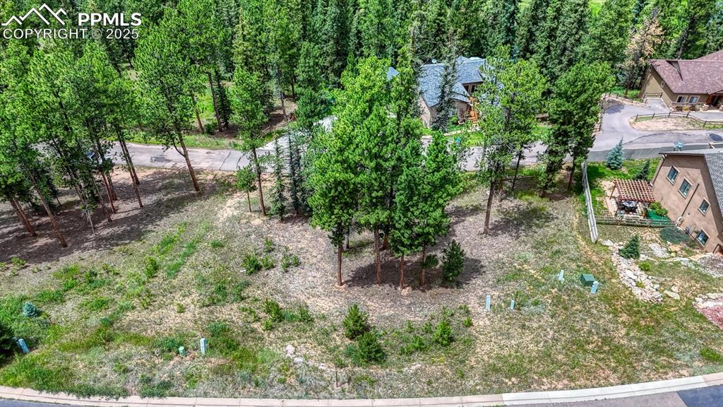 215 Iron Eagle Point Woodland Park CO 80863