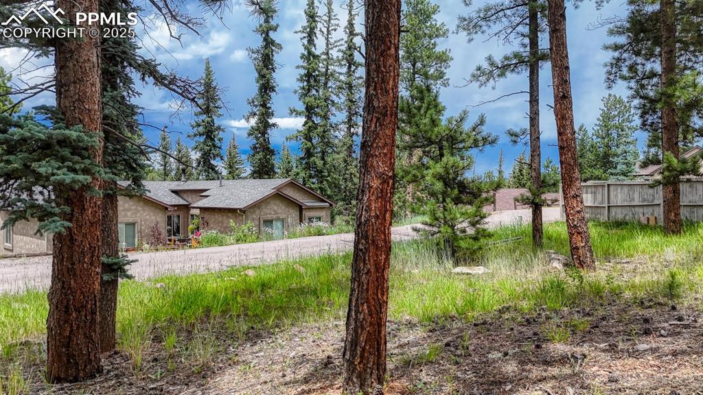215 Iron Eagle Point Woodland Park CO 80863