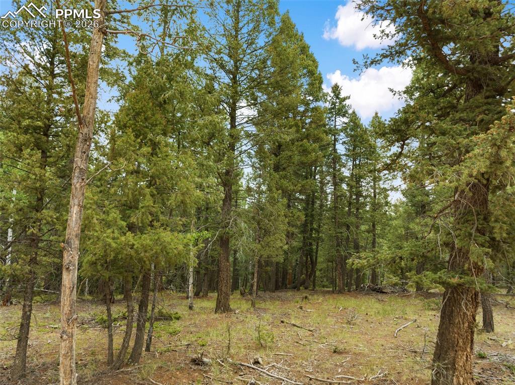 810 Ridge Road Divide CO 80814