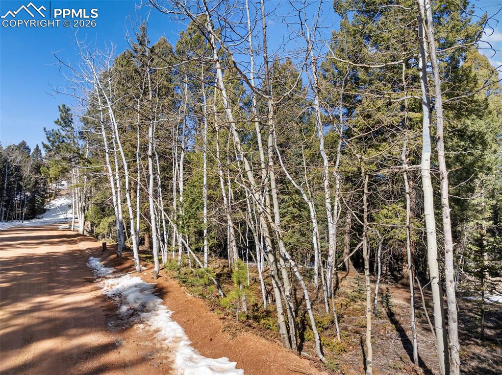 810 Ridge Road Divide CO 80814
