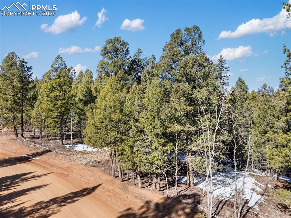 810 Ridge Road Divide CO 80814