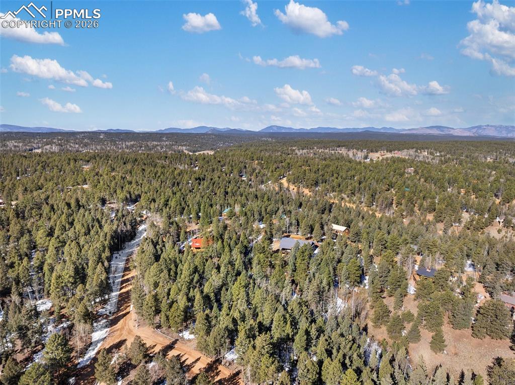 810 Ridge Road Divide CO 80814