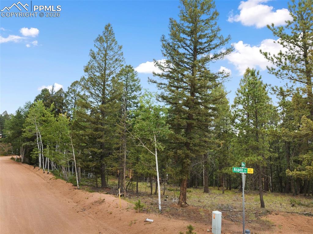 810 Ridge Road Divide CO 80814