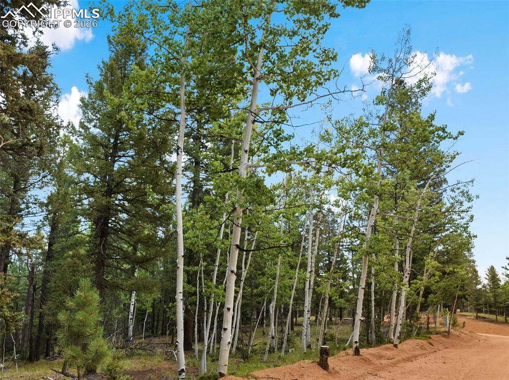 810 Ridge Road Divide CO 80814