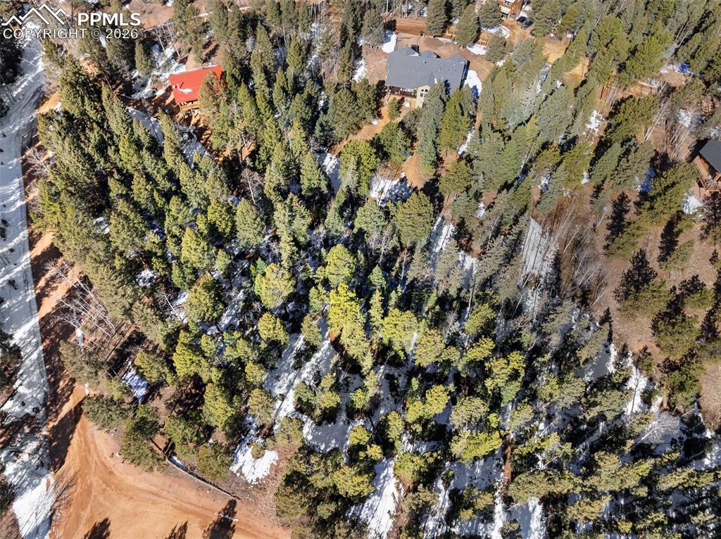 810 Ridge Road Divide CO 80814