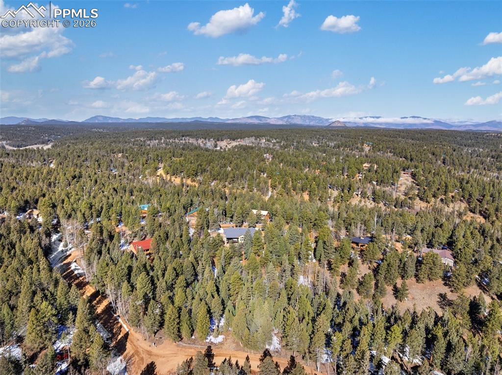 810 Ridge Road Divide CO 80814