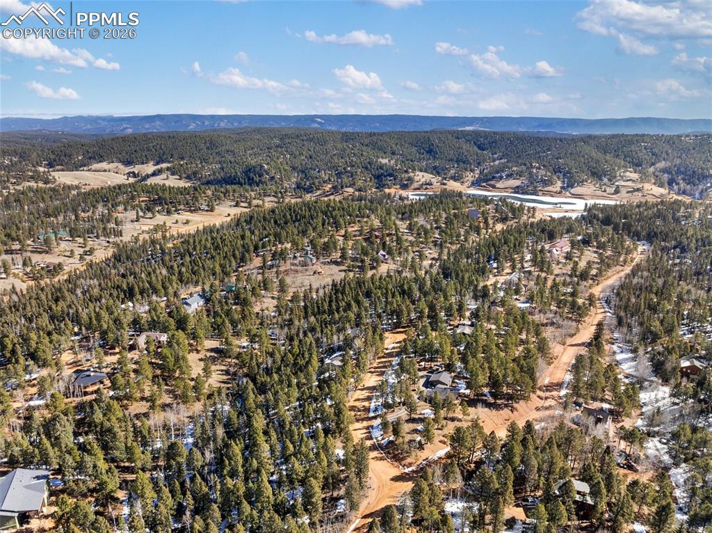 810 Ridge Road Divide CO 80814