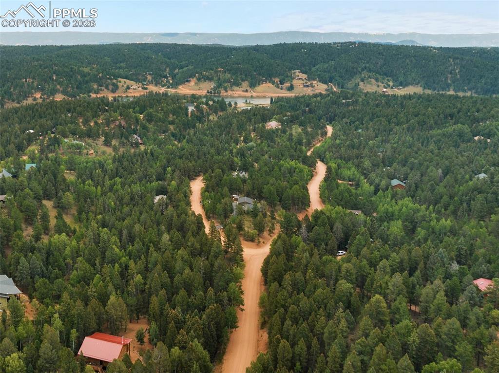 810 Ridge Road Divide CO 80814