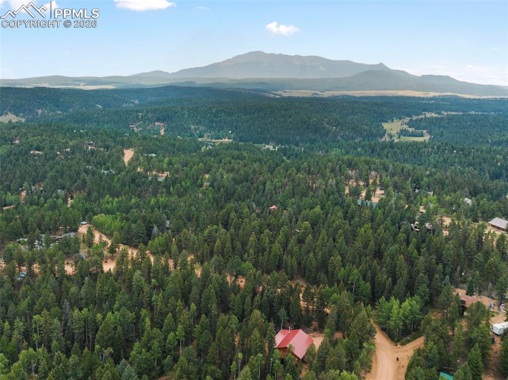 810 Ridge Road Divide CO 80814