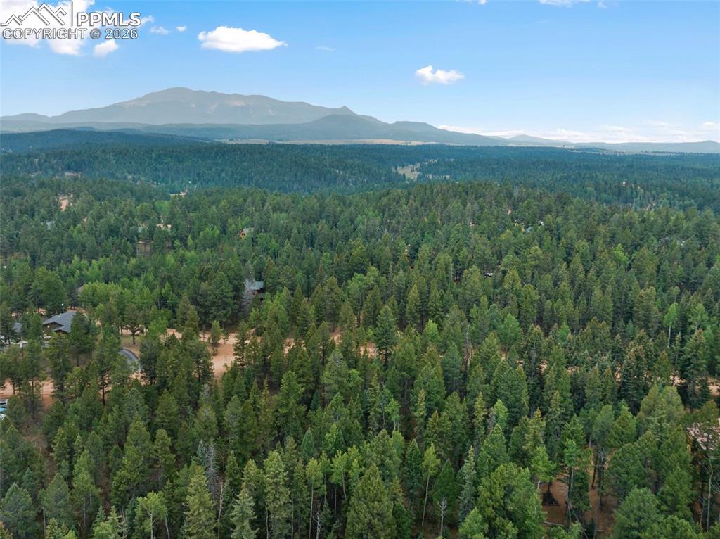 810 Ridge Road Divide CO 80814
