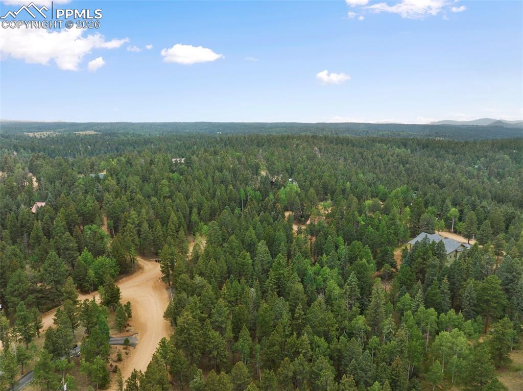 810 Ridge Road Divide CO 80814