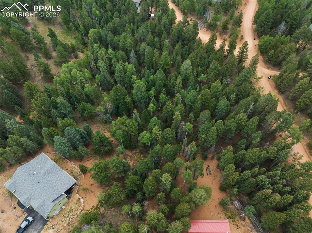 810 Ridge Road Divide CO 80814
