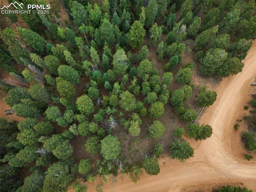 810 Ridge Road Divide CO 80814