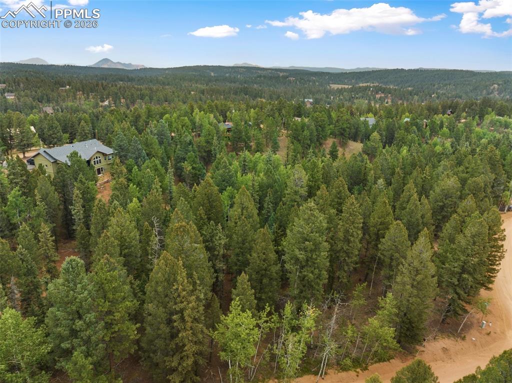 810 Ridge Road Divide CO 80814