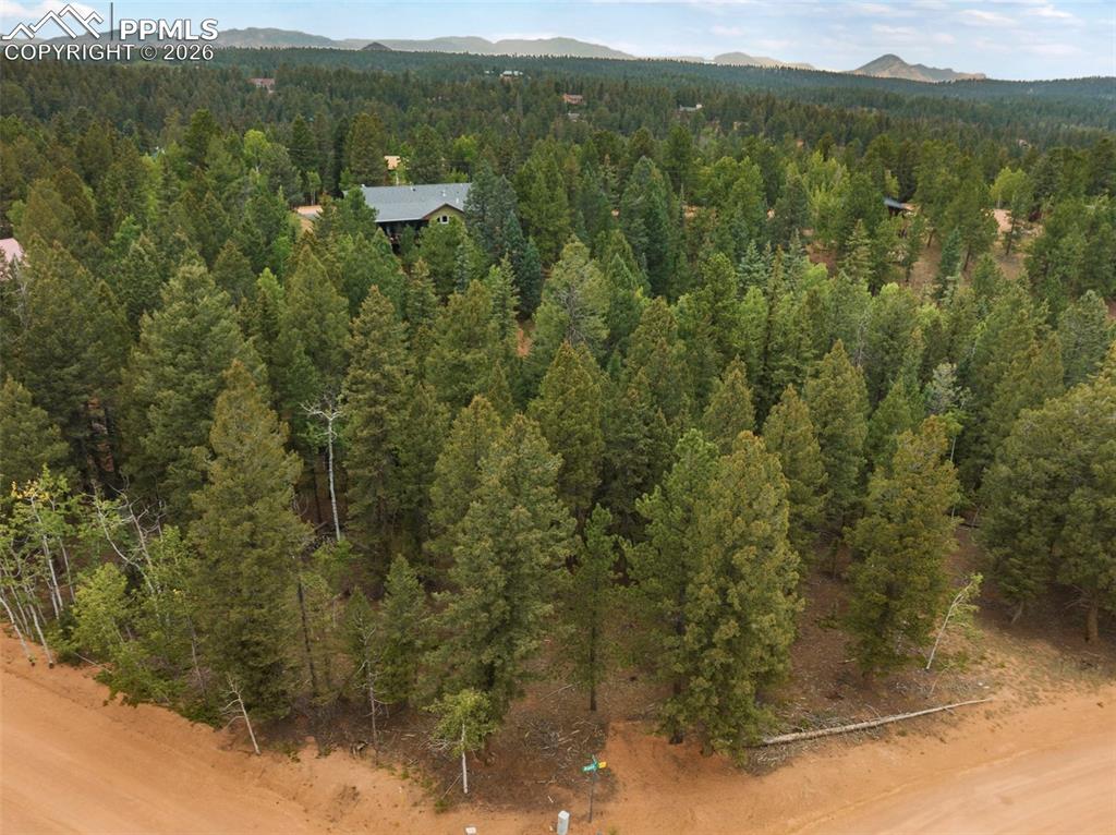 810 Ridge Road Divide CO 80814
