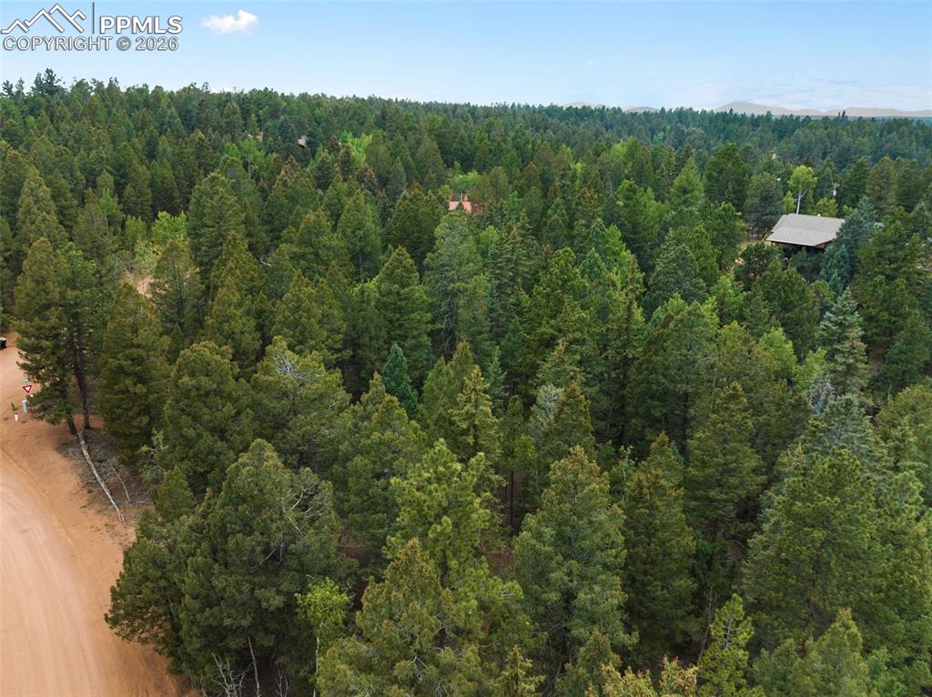 810 Ridge Road Divide CO 80814
