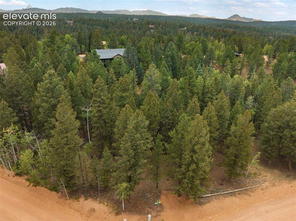 810 Ridge Road Divide CO 80814