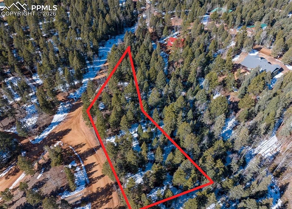 810 Ridge Road Divide CO 80814