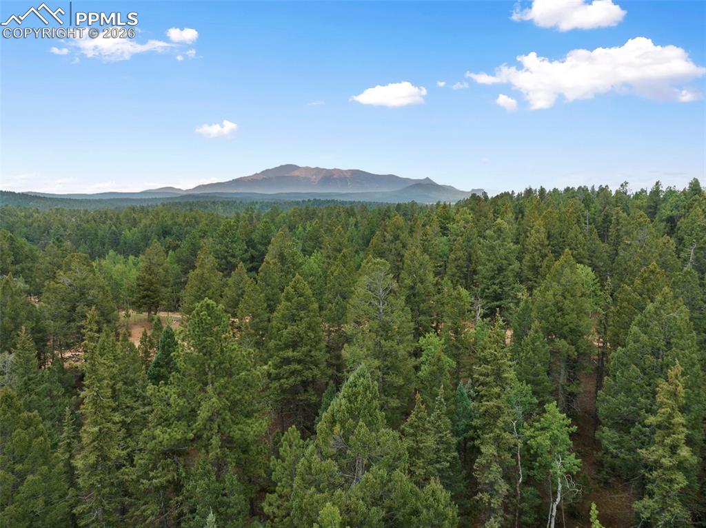810 Ridge Road Divide CO 80814