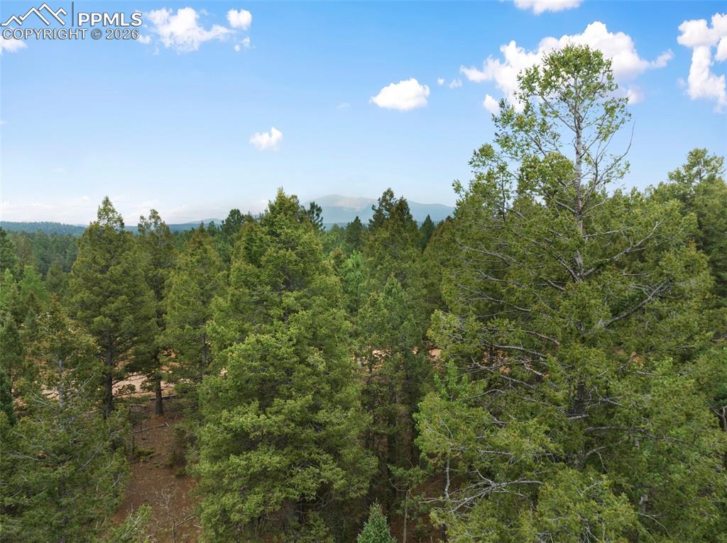 810 Ridge Road Divide CO 80814