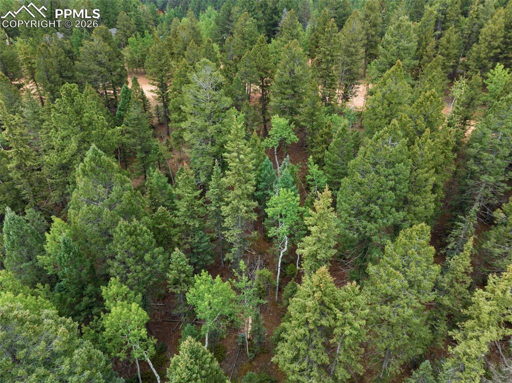 810 Ridge Road Divide CO 80814