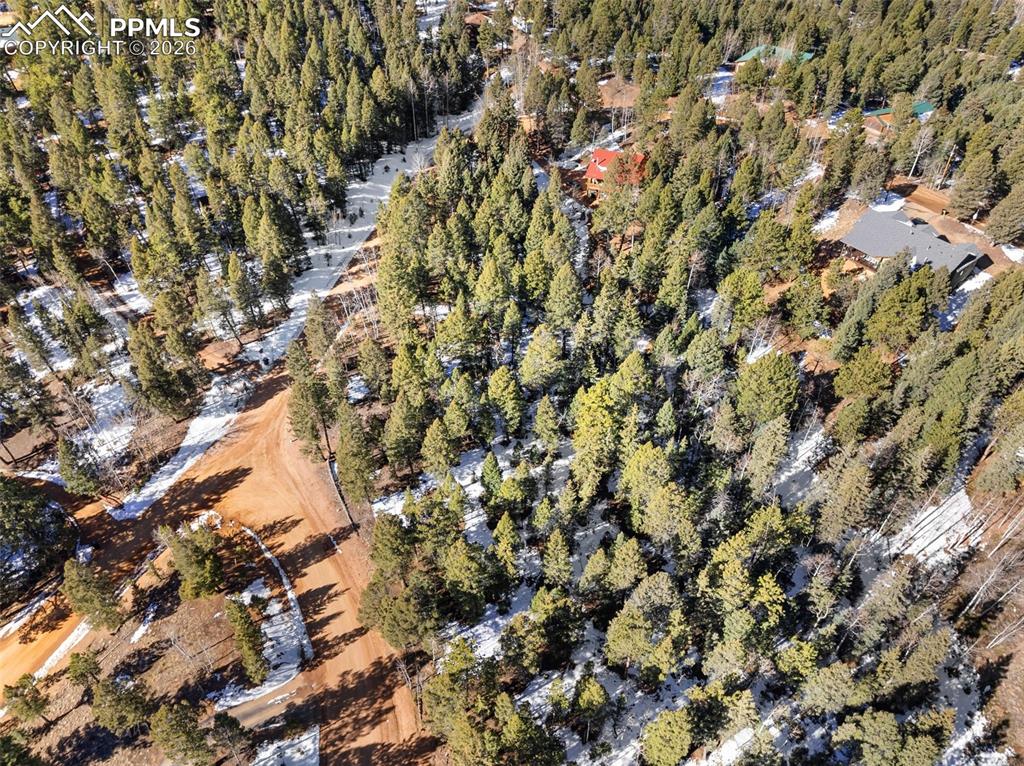 810 Ridge Road Divide CO 80814
