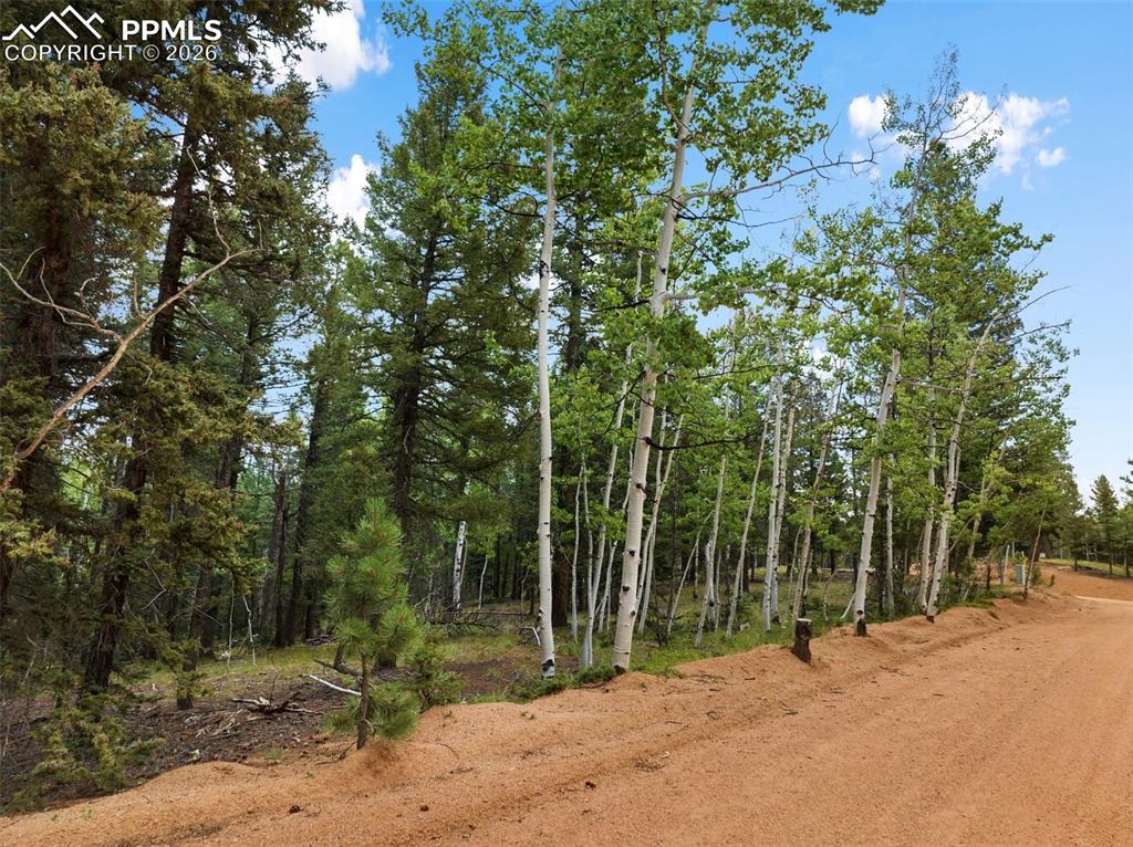 810 Ridge Road Divide CO 80814