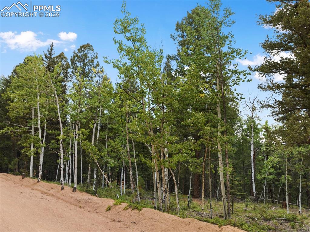 810 Ridge Road Divide CO 80814