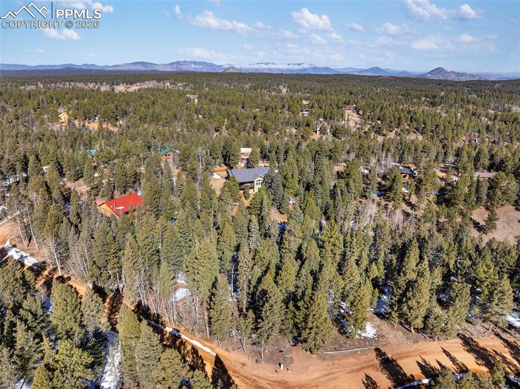 810 Ridge Road Divide CO 80814