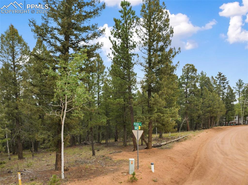 810 Ridge Road Divide CO 80814