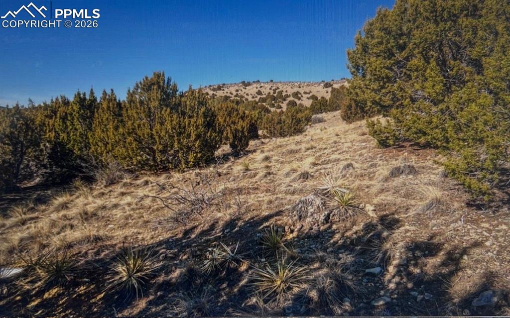 Lot 73 Cedar Grove Road Beulah CO 81023