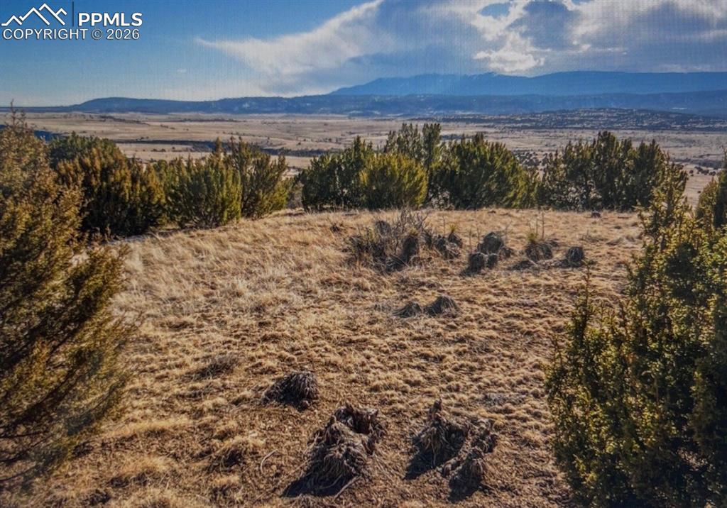 Lot 73 Cedar Grove Road Beulah CO 81023