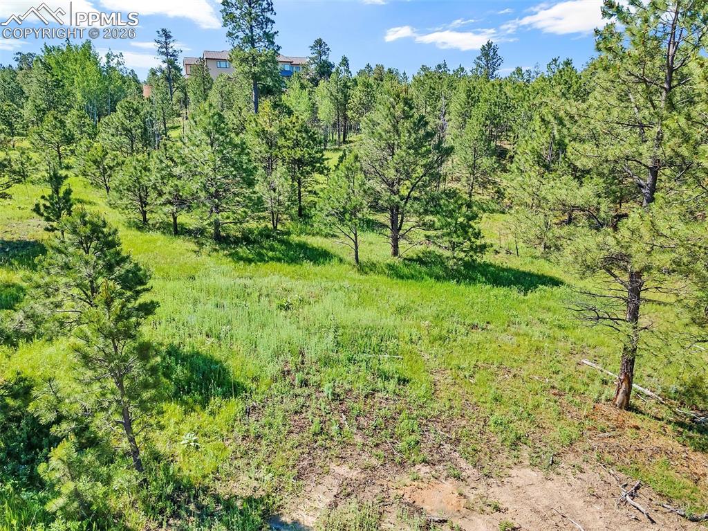 14431 Allen Ranch Road Colorado Springs CO 80908