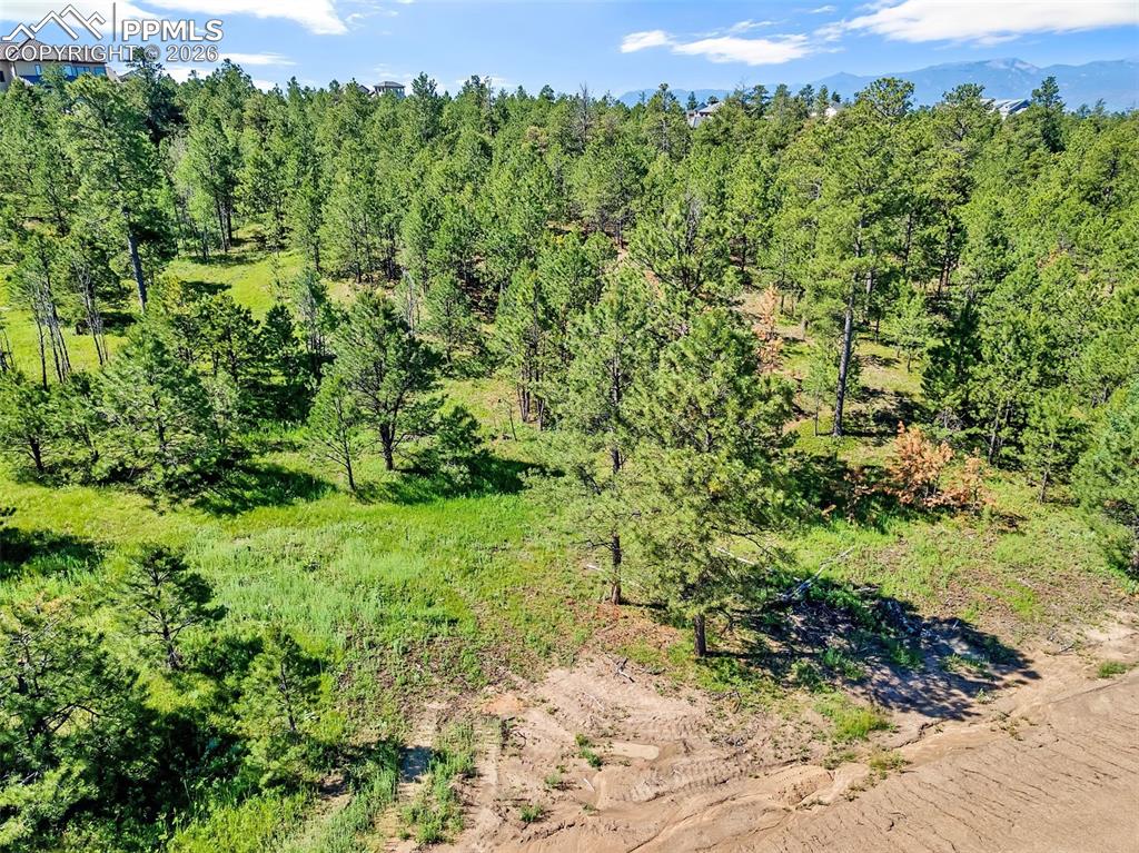 14431 Allen Ranch Road Colorado Springs CO 80908