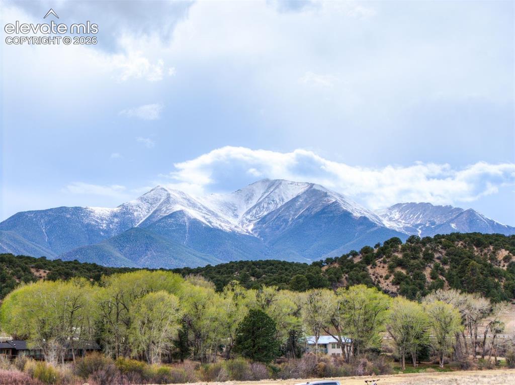 24278 River Rock Lane Buena Vista CO 81211