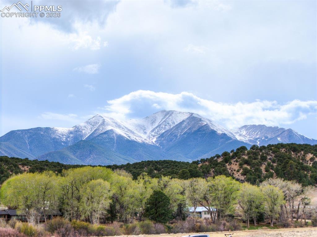 24278 River Rock Lane Buena Vista CO 81211